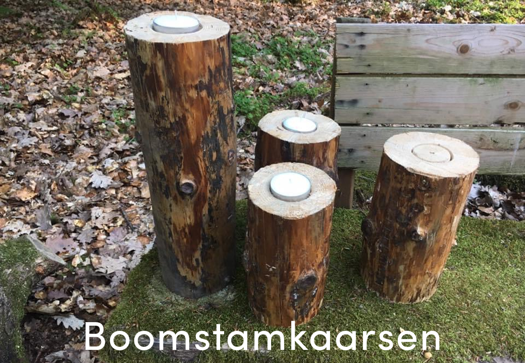 Boomstam-Kaarsen